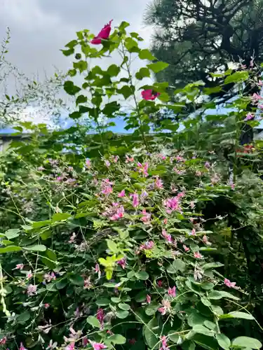 勝念寺（かましきさん）(京都府)