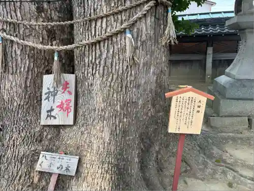 竹鼻八剱神社(八剣神社)(岐阜県)