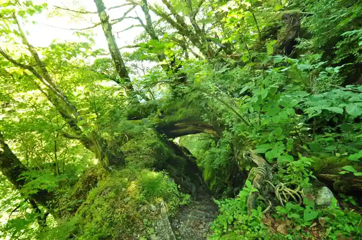 劔神社(徳島県)