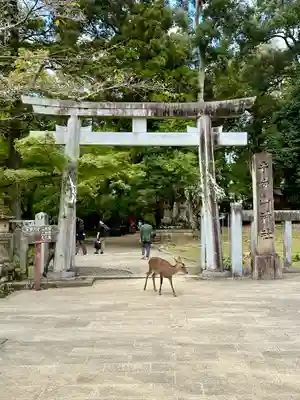 手向山八幡宮の鳥居