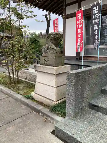 龍圓寺の狛犬