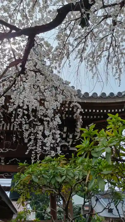 円明寺の{uncategorized: "未分類", other: "その他", undefined: "問題あり", building: "その他建物", grave: "お墓", sacred_gate: "鳥居", guardian: "狛犬", statue: "像", buddha: "仏像", history: "歴史", nature: "自然", garden: "庭園", animal: "動物", pagoda: "塔", temizu: "手水舎", mountain_gate: "山門・神門", sanctuary: "本殿・本堂", subordinate: "末社・摂社", art: "芸術", scenery: "景色", jizo: "地蔵", ema: "絵馬", goshuin: "御朱印", omikuji: "おみくじ", items: "授与品その他", amulet: "お守り", goshuincho: "御朱印帳", eats: "食事", festival: "お祭り", votive_dance: "神楽", shichigosan: "七五三参", wedding: "結婚式", experience: "体験その他", initially: "初詣", around: "周辺", anti_infection: "感染症対策"}