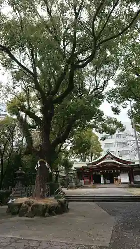豊崎神社の自然