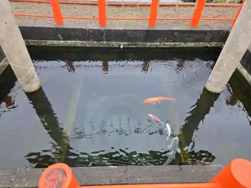 息栖神社(茨城県)
