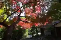 智光院(山口県)