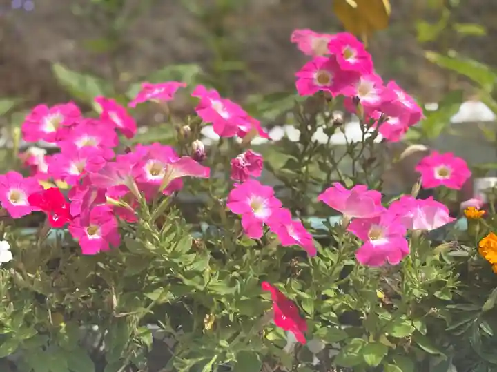 聖光寺(福岡県)