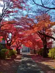 正樂寺(宮城県)