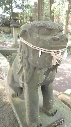 瀧泉神社の狛犬