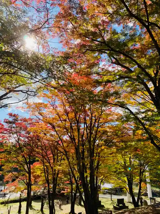 土津神社|こどもと出世の神さまの自然