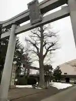 福井神社(福井県)
