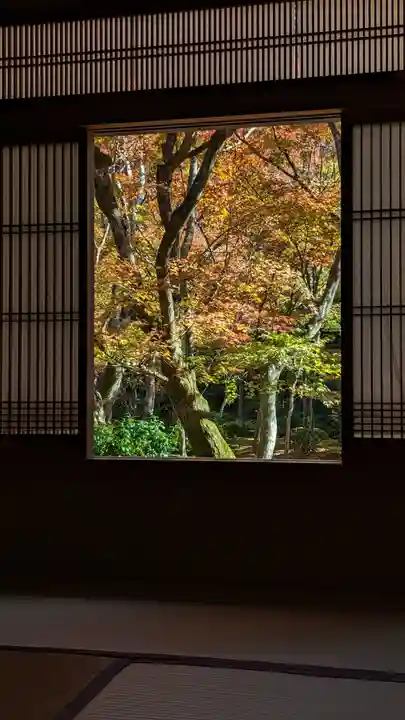 圓光寺(京都府)