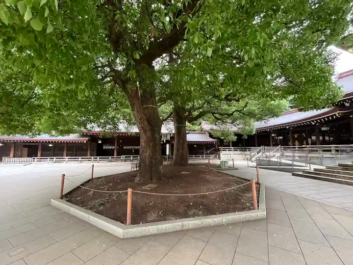 明治神宮の自然