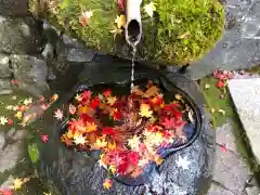 永源寺の手水