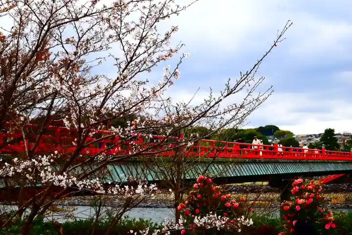 宇治神社の自然