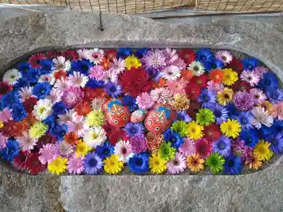 金井神社の手水舎