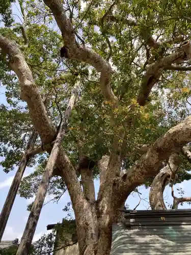 御霊神社(神奈川県)