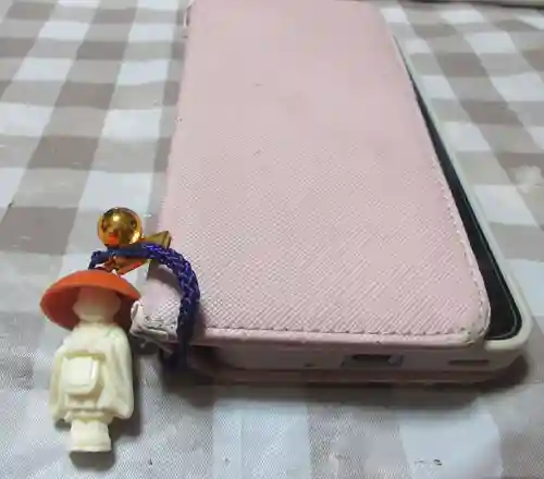 西新井大師総持寺(東京都)