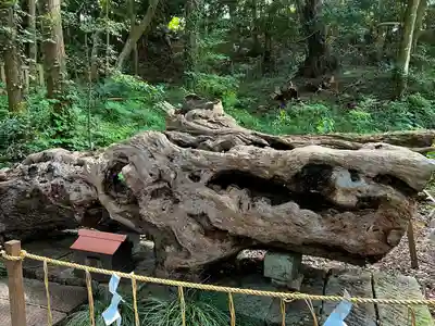 泉神社(茨城県)