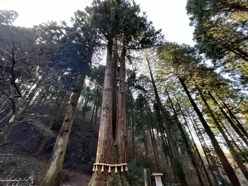御岩神社(茨城県)