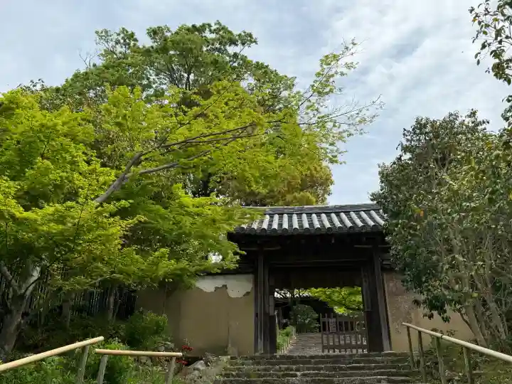 白毫寺の{uncategorized: "未分類", other: "その他", undefined: "問題あり", building: "その他建物", grave: "お墓", sacred_gate: "鳥居", guardian: "狛犬", statue: "像", buddha: "仏像", history: "歴史", nature: "自然", garden: "庭園", animal: "動物", pagoda: "塔", temizu: "手水舎", mountain_gate: "山門・神門", sanctuary: "本殿・本堂", subordinate: "末社・摂社", art: "芸術", scenery: "景色", jizo: "地蔵", ema: "絵馬", goshuin: "御朱印", omikuji: "おみくじ", items: "授与品その他", amulet: "お守り", goshuincho: "御朱印帳", eats: "食事", festival: "お祭り", votive_dance: "神楽", shichigosan: "七五三参", wedding: "結婚式", experience: "体験その他", initially: "初詣", around: "周辺", anti_infection: "感染症対策"}