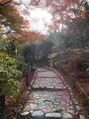 天龍寺(京都府)