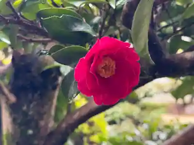 西方山極楽寺(岐阜県)