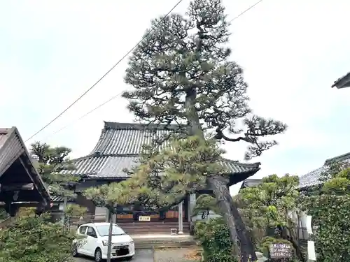 遠久寺(滋賀県)