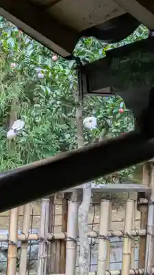 西源院(京都府)