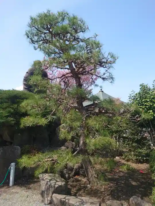 妙福寺(神奈川県)