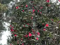 大宮温泉神社の自然