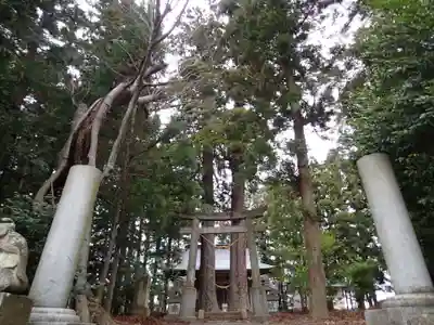 八雲神社・境内飯豊和気神社遥拝殿のその他建物