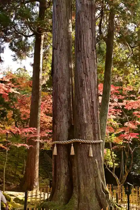 西明寺(滋賀県)