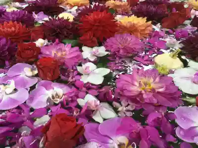 住吉神社の手水舎