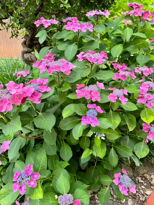 源九郎稲荷神社(奈良県)