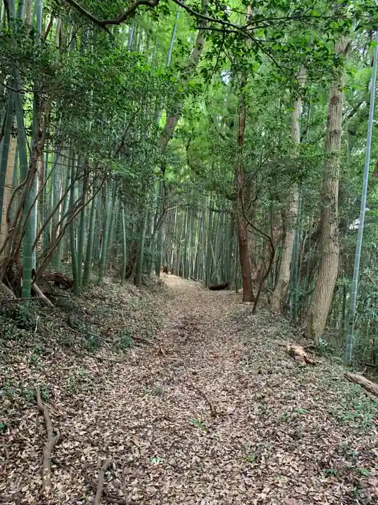 三社神社の自然