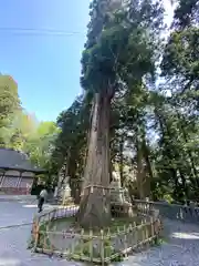 戸隠神社中社(長野県)