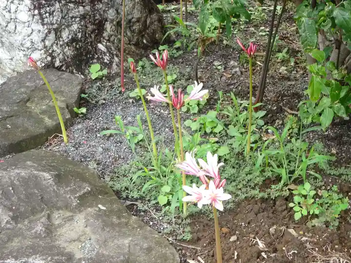 横浜 西方寺の自然