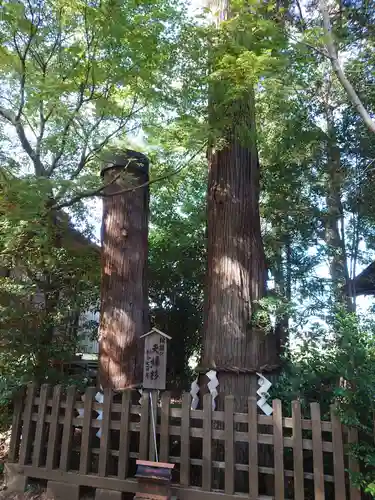 鹿嶋神社の自然