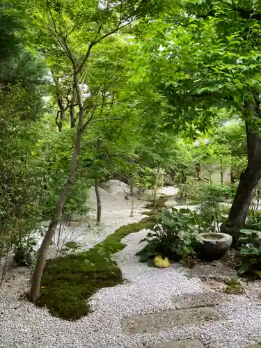興聖寺(京都府)