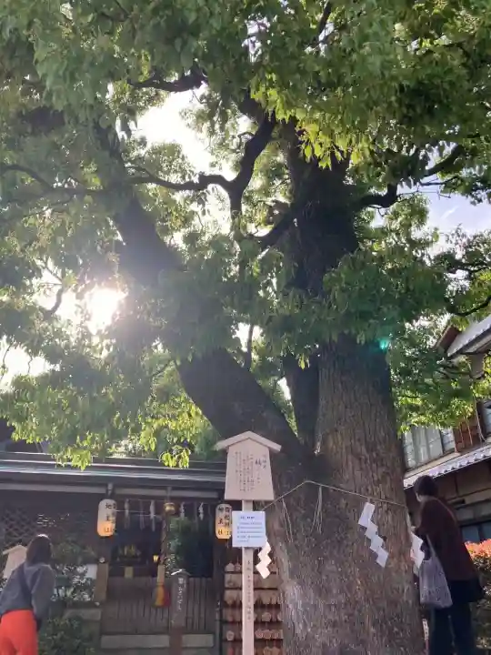 晴明神社の{uncategorized: "未分類", other: "その他", undefined: "問題あり", building: "その他建物", grave: "お墓", sacred_gate: "鳥居", guardian: "狛犬", statue: "像", buddha: "仏像", history: "歴史", nature: "自然", garden: "庭園", animal: "動物", pagoda: "塔", temizu: "手水舎", mountain_gate: "山門・神門", sanctuary: "本殿・本堂", subordinate: "末社・摂社", art: "芸術", scenery: "景色", jizo: "地蔵", ema: "絵馬", goshuin: "御朱印", omikuji: "おみくじ", items: "授与品その他", amulet: "お守り", goshuincho: "御朱印帳", eats: "食事", festival: "お祭り", votive_dance: "神楽", shichigosan: "七五三参", wedding: "結婚式", experience: "体験その他", initially: "初詣", around: "周辺", anti_infection: "感染症対策"}