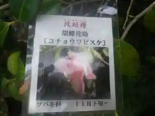 光則寺(神奈川県)