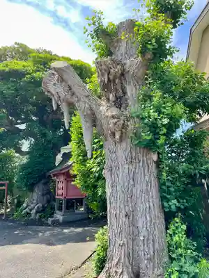 本興寺(神奈川県)