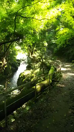 浄蓮寺の自然