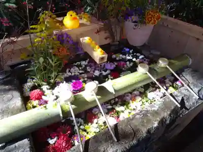 白根神社の手水舎