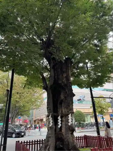 大國魂神社(東京都)