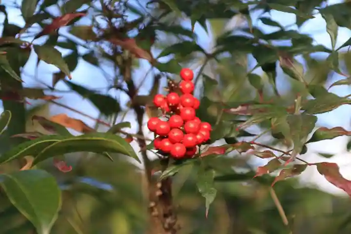 隠津島神社の庭園
