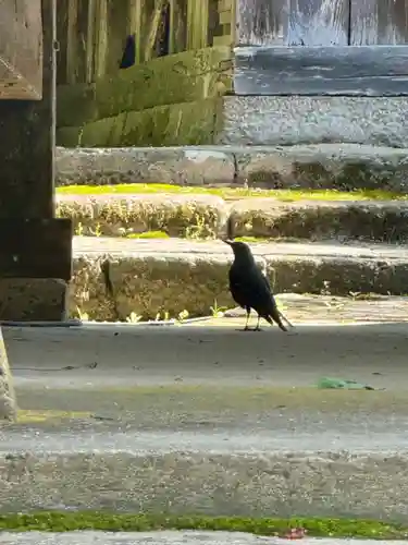多久神社(京都府)