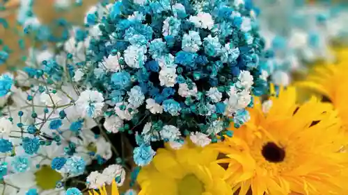 阿邪訶根神社の手水舎