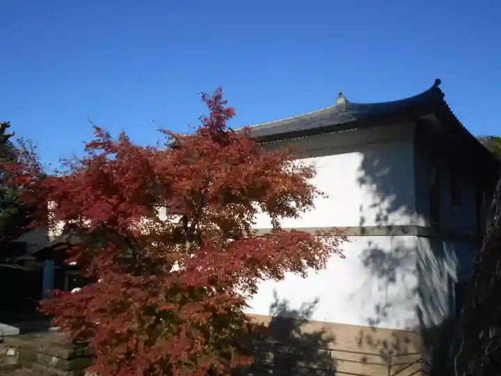 安國論寺(安国論寺)のその他建物