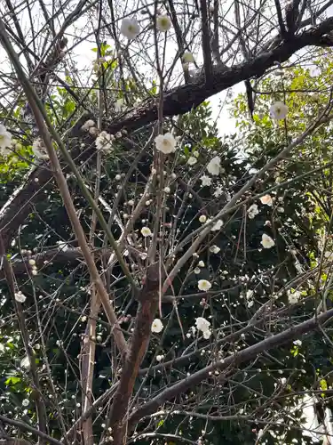 鶴嶺八幡宮(神奈川県)